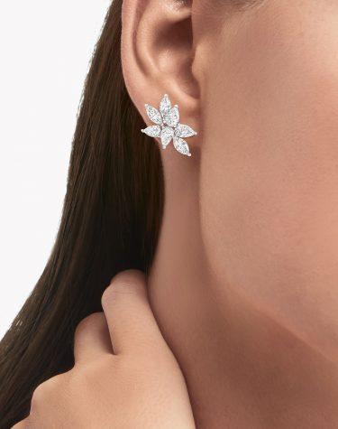 Серьги Graff Classic Earrings