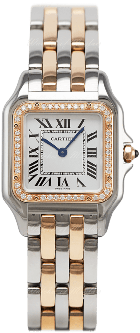 Cartier Panthere Panthere de Cartier Medium